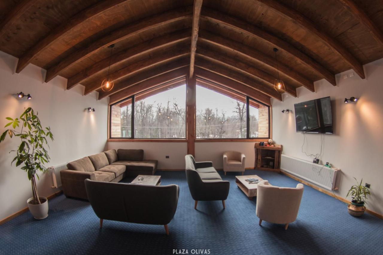Las Bravas Lodge Las Trancas Extérieur photo